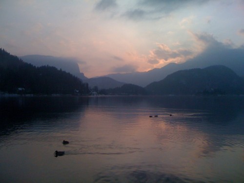 Bled lake